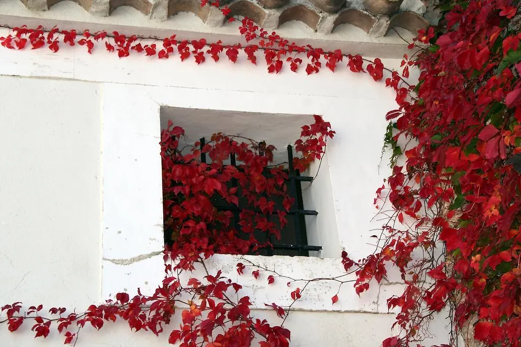 La Casona De Don Bruno Hotel El Contador Guest house